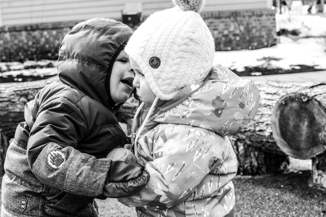 Macro Photos (12 of 25)