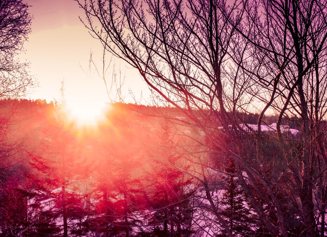 365 photo blog (1 of 1)-10