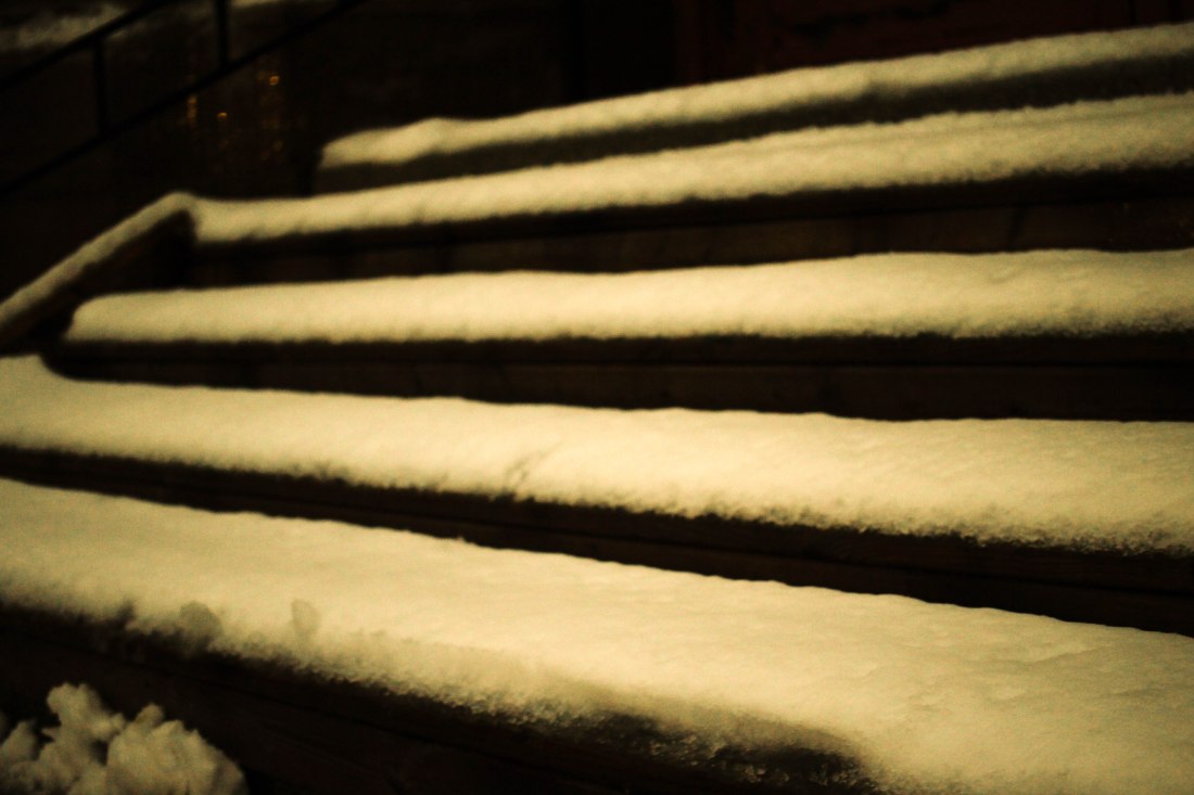 365 photo blog (1 of 1)-6