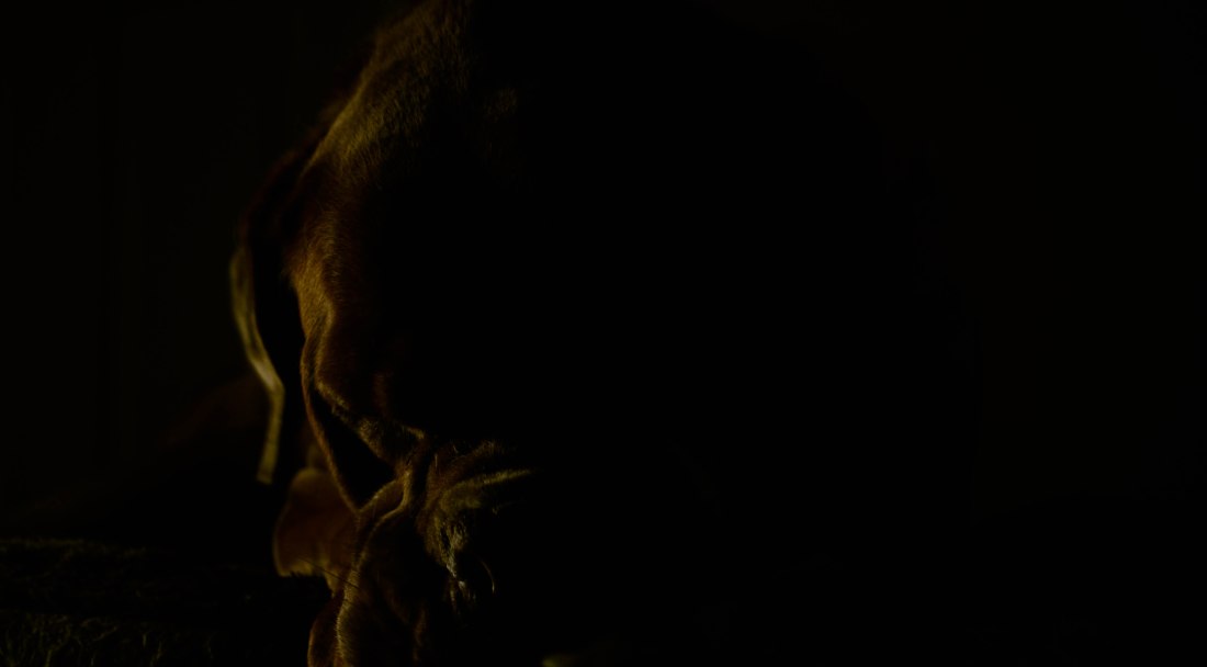 365 photo blog (2 of 3)