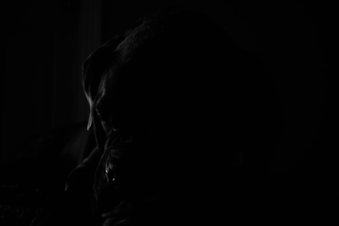 365 photo blog (3 of 3)